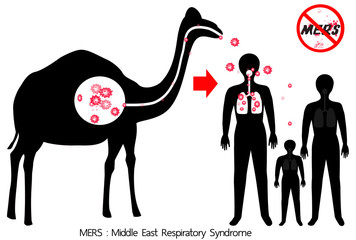 mers middle east respiratory syndrome - corona virus