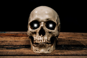 Human skull on old wood background ; still-life