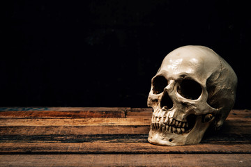 Human skull on old wood background ; still-life