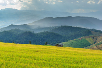 Fototapeta premium Green Terraced Rice Field in Pa Pong Pieng , Mae Chaem, Chiang Mai, Thailand