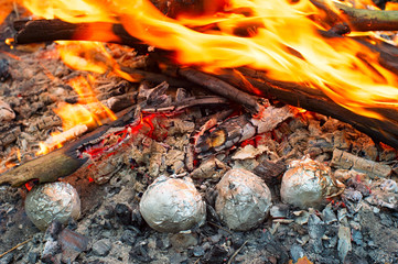 Potatoes in the fire
