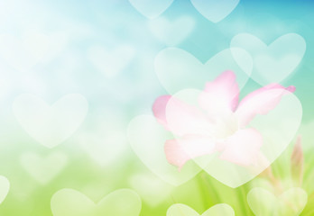 Bokeh heart abstract background