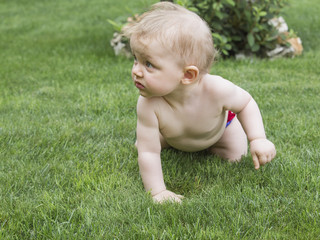 bimba gattona sul prato