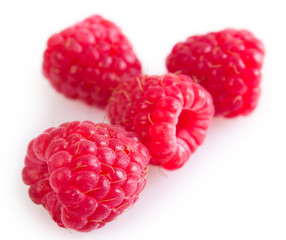 Fresh raspberry