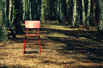 Lonely red chair in the pine wood in sunny spring day