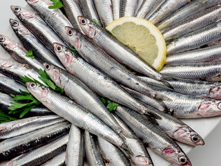 Fresh and raw mediterranean anchovy close up