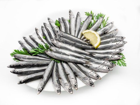 Fresh and raw mediterranean anchovy on white background