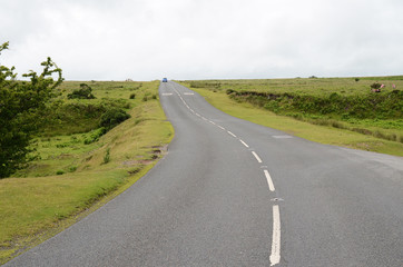 Fototapeta premium Dartmoor National Park, Devon