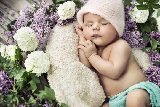 cute boy sleeping among the flowers
