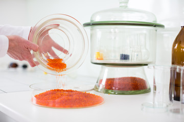 Lab worker's hands while at work at a research center in a lab,