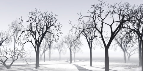 Transparent winter air
