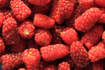 big red raspberries background