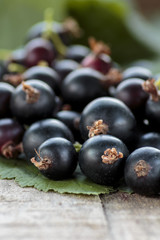 Gooseberries Hybrid close up