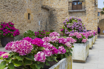 Fototapeta na wymiar Pink decoration outdoor flowers on rock pots