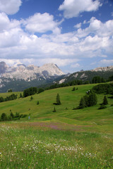 Fototapeta na wymiar val Badia - Dolomiti
