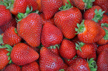 Fresh red strawberries