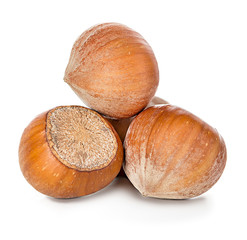 Hazelnuts isolated on white background