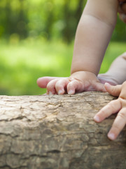 The hands of a small child.