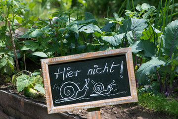 Schneckenverbot