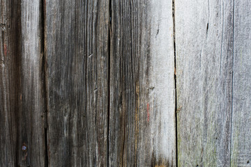 Texture of wooden planks