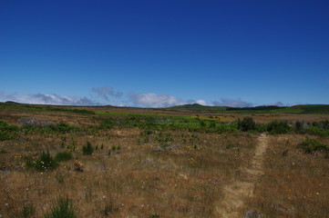 Madeira Plateau