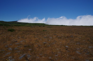 Hochebene mit Wolken auf Madeira