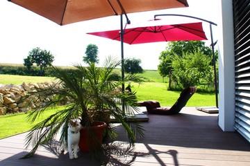 Schattenspender Stock Photos And Royalty Free Images Vectors And Illustrations Adobe Stock