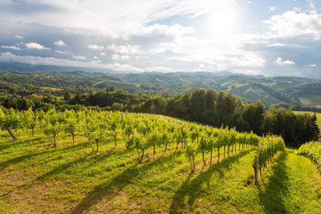 Southern Styrian landscape