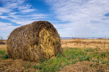 Fardo de paja