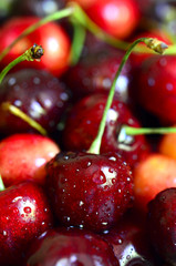 Fresh cherry.