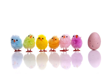 Easter egg and chicks colourful and aligned shot on a white background with reflection