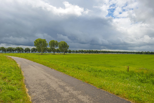 Bicycle path through a rural landscape in summer