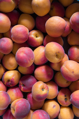 Basket of fresh italian apricots