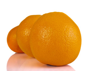 Orange whole shot aligned  front on on a white background