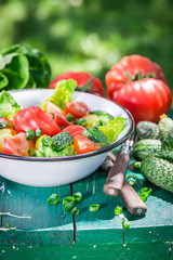 Healthy vegetarian salad in sunny garden