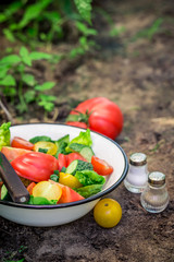 Fresh vegetables from countryside
