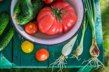 Colorful mix vegetables in garden