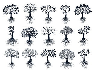 Fototapeta premium Set of Black Trees and Roots