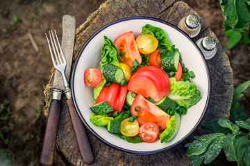 Homemade vegetarian salad in sunny garden