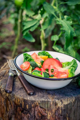 Colorful vegetarian salad in sunny day