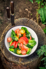 Fresh vegetables from greenhouse