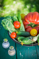 Healthy vegetables from countryside
