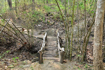 Wood bridge  in the forest  