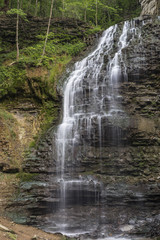 Fototapeta premium Tiffany's Beauty