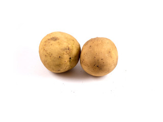 Wollongong isolated on the white background