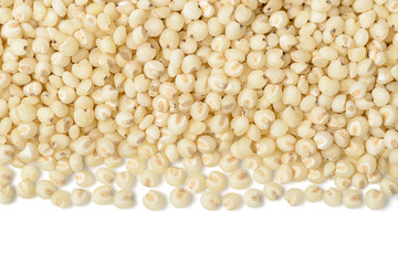 food background of sorghum, tilt shift lens