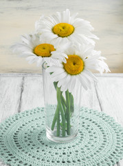 Bouquet of daisies standing in glass vase