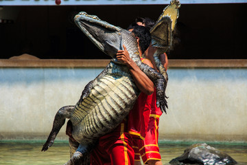 Obraz premium Show of Crocodile.