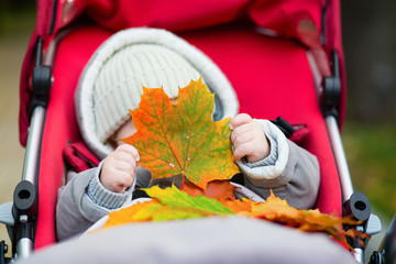 Baby boy in stroller playing with autumn leaves