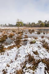 Nature reserve in wintertime